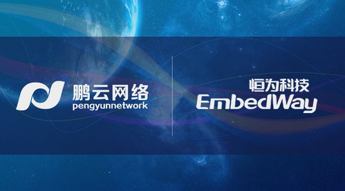 先行一步 鵬云網(wǎng)絡(luò)攜手恒為科技開展國(guó)產(chǎn)自主可控SDS前瞻性研究